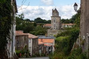 Lutte contre les nuisibles Montreuil